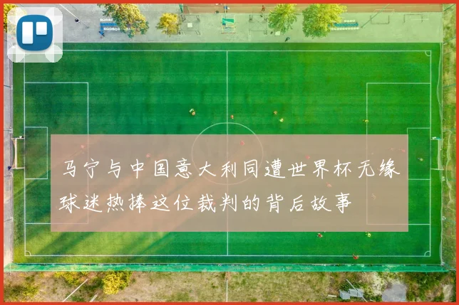 马宁与中国意大利同遭世界杯无缘球迷热捧这位裁判的背后故事