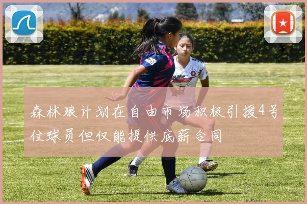 森林狼计划在自由市场积极引援4号位球员但仅能提供底薪合同